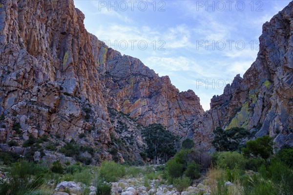 Quartzite rocks Swartberg Road