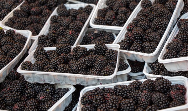 Blackberries in a plastic package on sale on a Turkish street bazaar