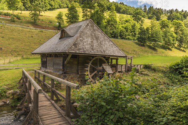 Historic water mill in the Black Forest
