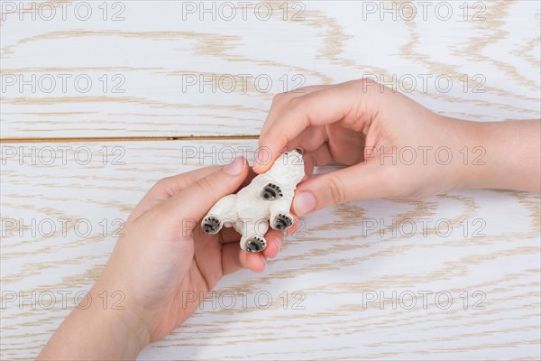 Hand holding a Polar bear model on a wooden background