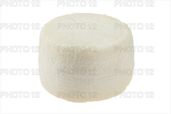 Small goat cheese head isolated on white background