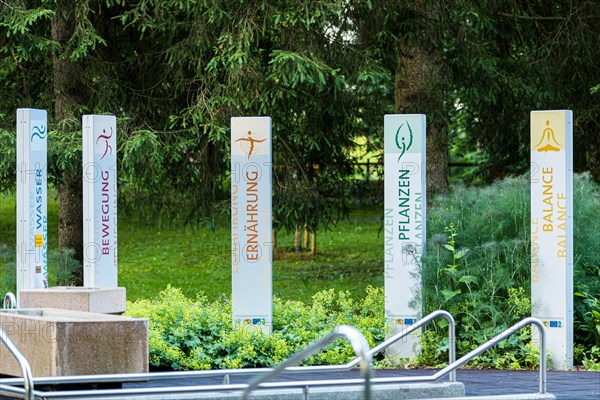 The five pillars of Kneipp