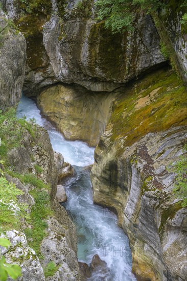 Narrows of the river at the Velika korita Soce