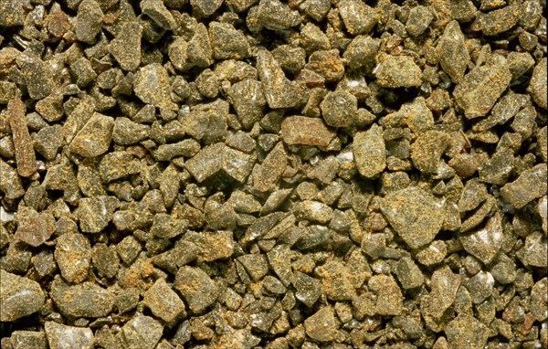 Aloe vera granules