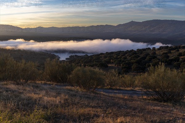 Monfraguee National Park