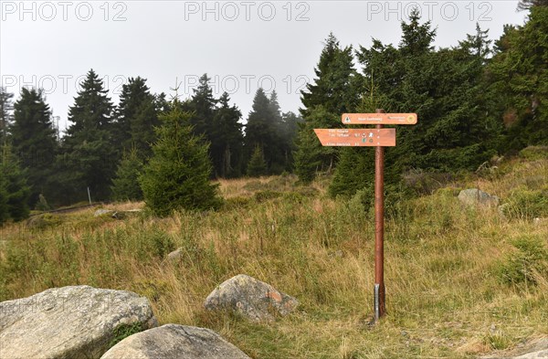 Signpost in the Harz Mountains at the Brocken