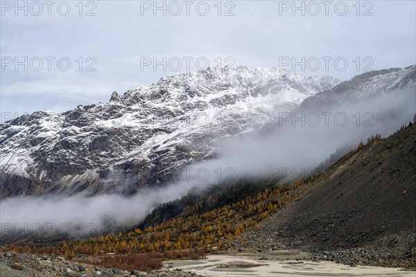 Autumn larch forest in Val Morteratsch