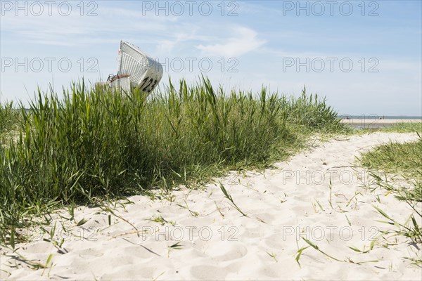 Beach chair on the sandy beach