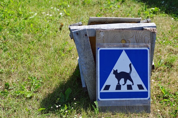 Homemade street sign with cat and zebra crossing