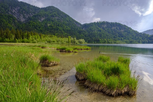 Weitsee near Ruhpolding