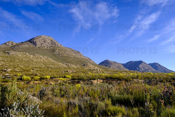 Swartberg Pass