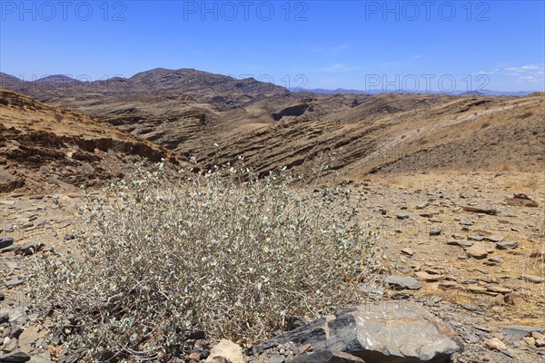 Landscape at Kuiseb Pass