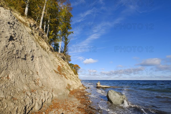 Brodtener Steilufer on the Baltic Sea