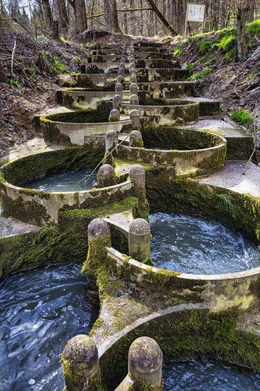 Artificial fish ladder