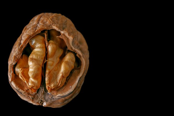 Unshelled walnut in close-up isolated on black background