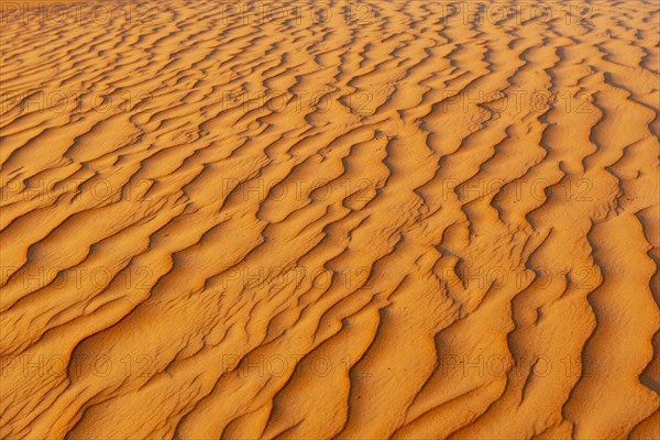 Natural patterns and ripples in the sand