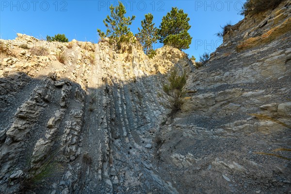 Folded geological layers in Provence