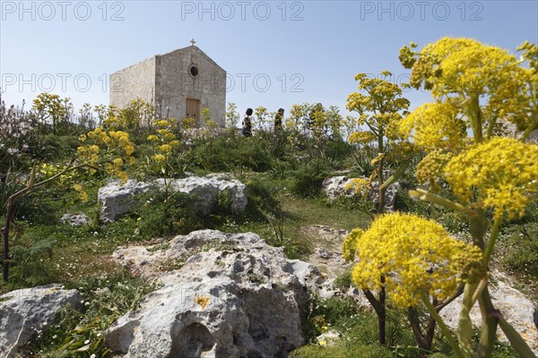 Chapel of St Mary Magdalene