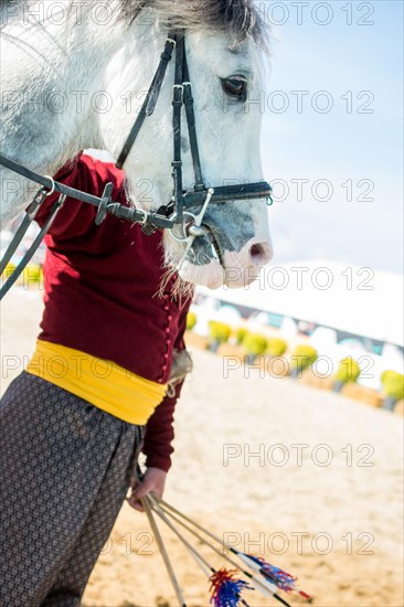 Portrait of dark palomino horse. Horse head with long mane in profile