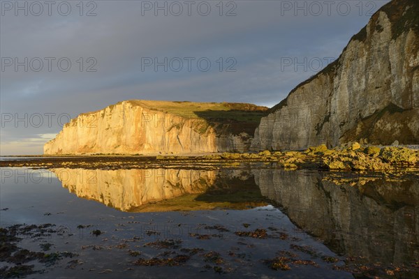 Alabaster coast with chalk cliffs near Etretat at low tide