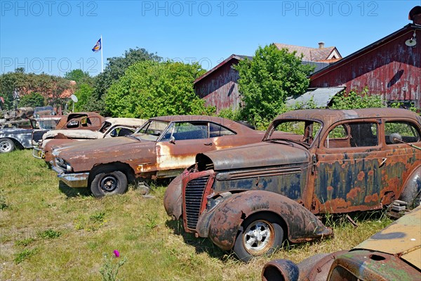 Rusty Cars