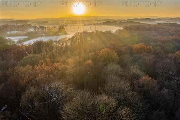 Evening sun over autumn forest in early winter