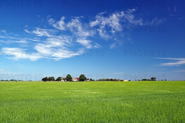 Wide landscape with fields and houses