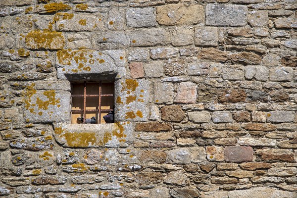 Natural stone wall with barred window as texture or background