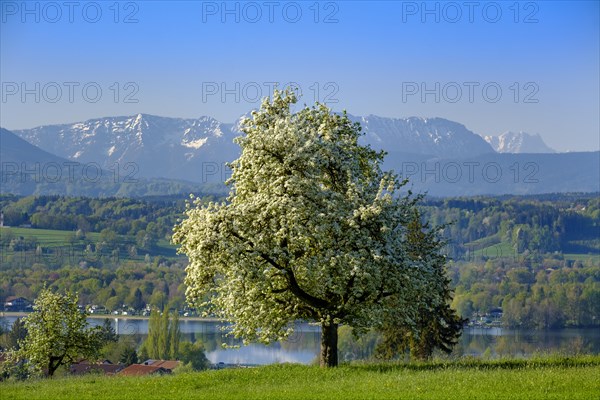 View from Bicheln