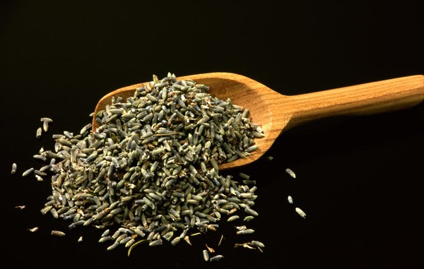 Dried lavender flowers