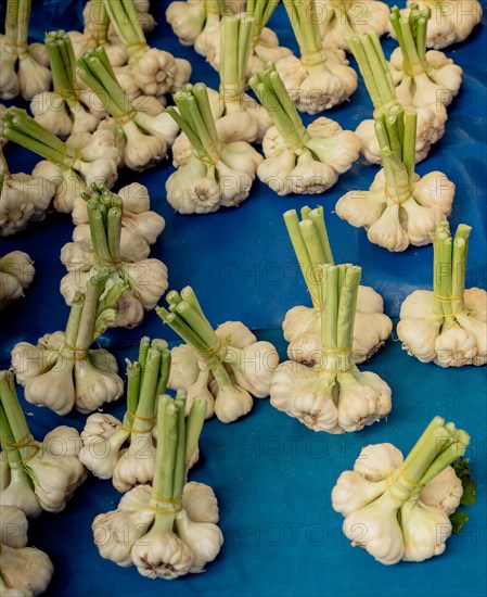 Bunch of garlic bulbs at the market place