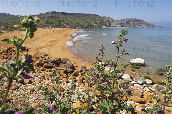 Sandy beach beach at Ramla Bay