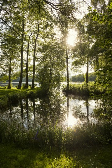 Schaalsee near Seedorf