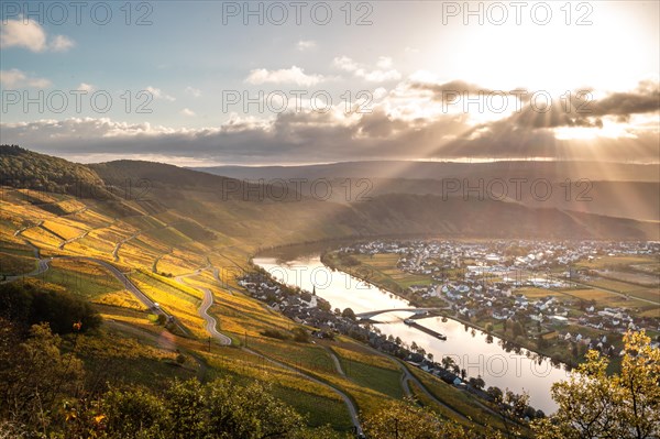 Autumn vineyards on the Moselle river