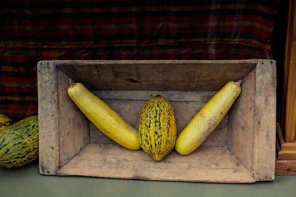 Two long pumpkins and a melon in a wooden box in the view