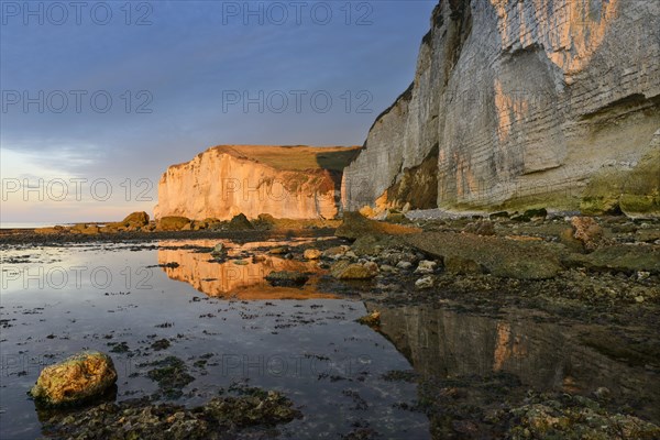 Alabaster coast with chalk cliffs near Etretat at low tide