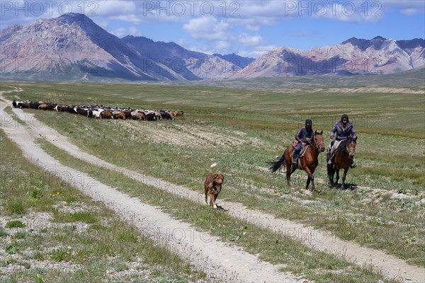 Kyrgyz nomads and sheep herd