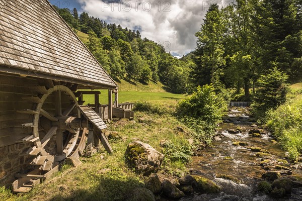 Historic water mill in the Black Forest