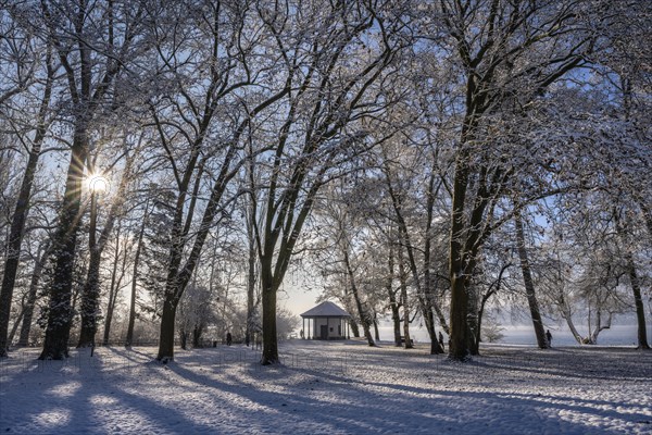 Winter atmosphere in Mettnaupark near Radolfzell on Lake Constance