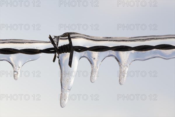 Icy barbed wire