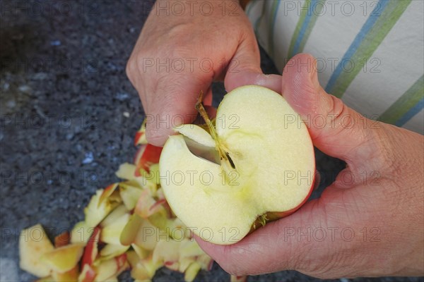 Swabian cuisine