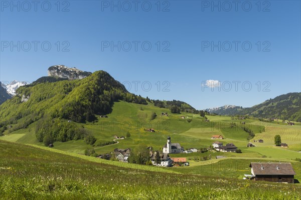 Mountain landscape with green meadows and pastures