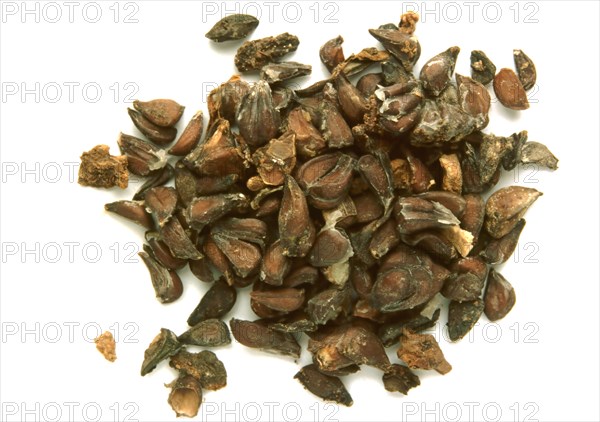 Natural remedy quince seeds