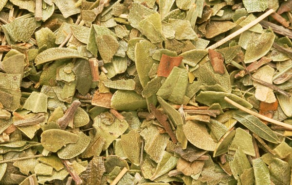 Natural remedy dried bearberry leaves