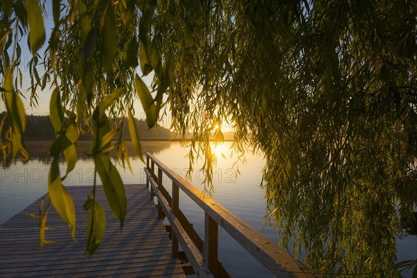 Schaalsee near Seedorf