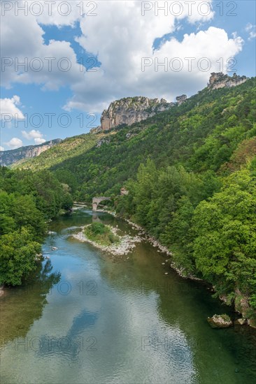 Gorges du Tarn in Cevennes National Park. Le Rozier