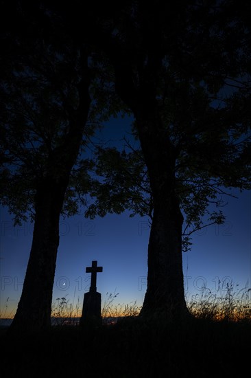 Field cross with trees at blue hour