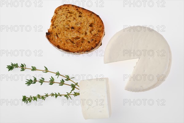 Top view of small goat cheese head and piece of toast