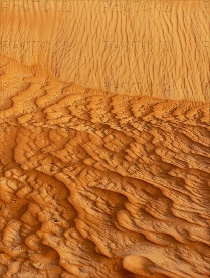 Natural patterns and ripples in the sand