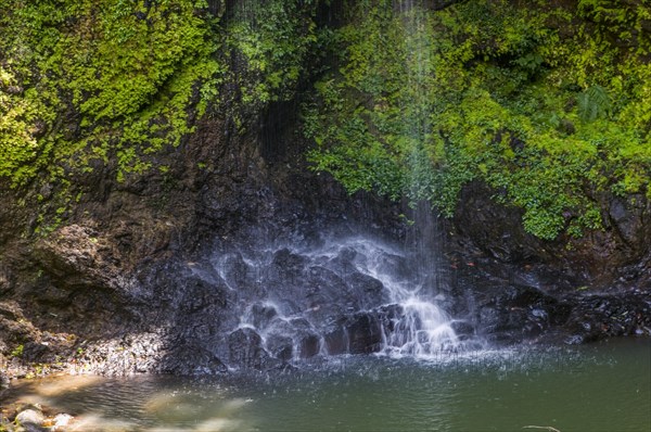 Waterfall in the Montagne dÂ´Ambre National Park